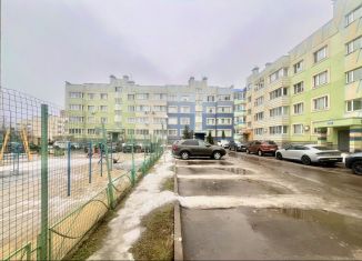 Продажа 1-ком. квартиры, 41.2 м2, деревня Чёрная, Широкая улица, 11