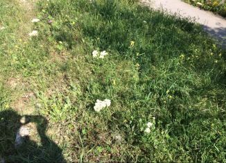 Продажа земельного участка, 1 сот., посёлок городского типа Никита, улица имени Героя Советского Союза Е.С. Птухина