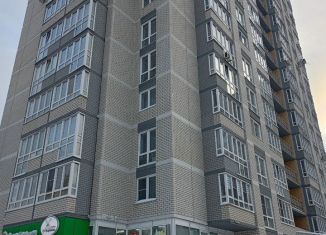 1-комнатная квартира в аренду, 38 м2, Алтайский край, улица Гущина, 171Д