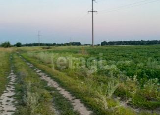 Продается участок, 350 сот., деревня 1-я Моква, Центральная улица