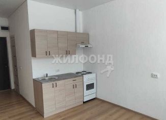 Продается квартира студия, 17 м2, Новосибирск, Сухановская улица, 6А, Калининский район