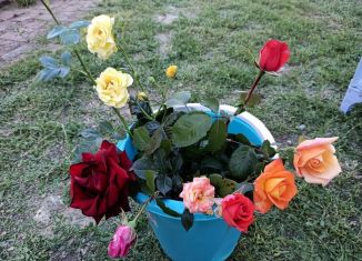 Продается дом, 57 м2, поселок Дальний