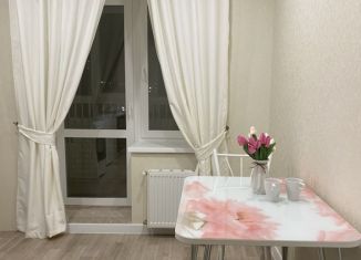 1-комнатная квартира в аренду, 43 м2, Чебоксары, улица Николая Смирнова, 4, Ленинский район