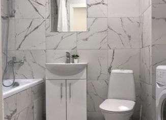 Сдача в аренду квартиры студии, 27 м2, Мурино, улица Шувалова, 22к2, ЖК Витамин