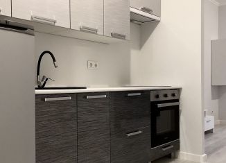 Продается 1-комнатная квартира, 29 м2, Мурино, улица Шоссе в Лаврики, 63, ЖК Муринское-1