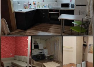 Сдаю квартиру студию, 40 м2, Красноярск, Дачная улица, 35