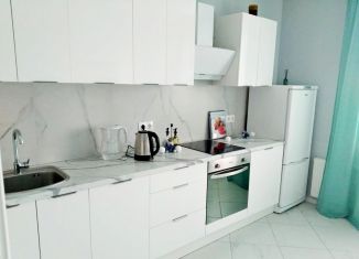 Сдам 1-ком. квартиру, 41 м2, Москва, Производственная улица, 8к2, ЖК Лучи