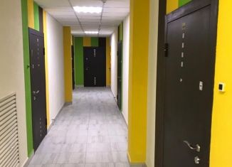 Продаю квартиру студию, 24.4 м2, Мурино, Ручьёвский проспект, 9, ЖК Гринландия-2