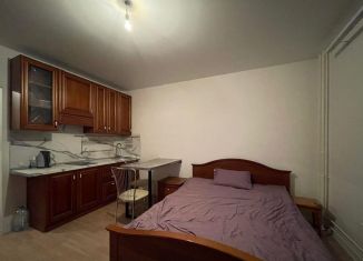 Аренда квартиры студии, 23.1 м2, Люберцы, улица Лётчика Ларюшина, 6к2, ЖК Жулебино Парк