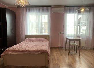 Квартира в аренду студия, 30 м2, деревня Кривское, Центральная улица, 61