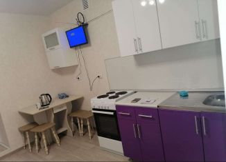 Квартира в аренду студия, 19 м2, село Осиново, улица Гайсина, 2В