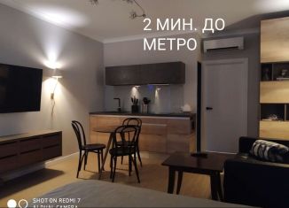 Сдам квартиру студию, 33 м2, Санкт-Петербург, Московский проспект, 73к5, ЖК Времена Года