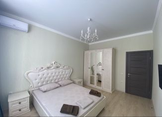 Сдается 1-комнатная квартира, 42 м2, Ставропольский край, Мельничный переулок, 20Ак1