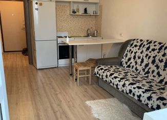 Сдается квартира студия, 26 м2, Мурино, Охтинская аллея, 6, ЖК Мой Город