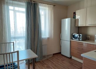 Сдается 1-комнатная квартира, 47 м2, Екатеринбург, переулок Трактористов, 4, переулок Трактористов