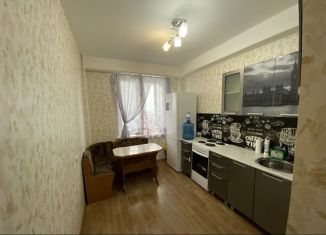 Сдается в аренду однокомнатная квартира, 40 м2, Пермский край, улица Ивана Дощеникова, 9