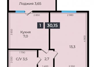1-комнатная квартира на продажу, 30.2 м2, Ставрополь, улица Южный Обход, 53В, микрорайон № 29