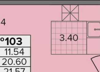 Продаю квартиру студию, 21.6 м2, деревня Новое Девяткино