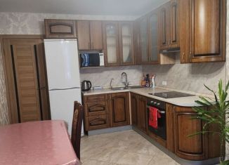 Однокомнатная квартира в аренду, 50 м2, Мурино, проспект Авиаторов Балтики, 7, ЖК Виктория