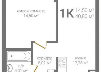 Продаю 1-ком. квартиру, 40.8 м2, Нижний Новгород, 2-я Оранжерейная улица, 6А, Советский район