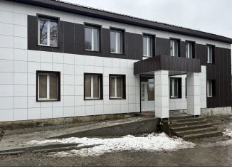 Помещение свободного назначения на продажу, 500 м2, Кыштым, улица Ленина, 42