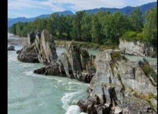 Продается земельный участок, 25000 сот., село Чемал