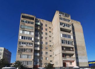 Продается двухкомнатная квартира, 44 м2, Электрогорск, Советская улица, 46