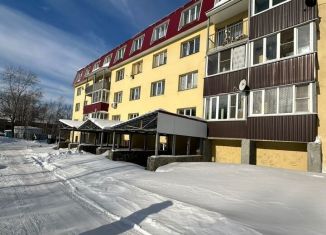 Сдается в аренду помещение свободного назначения, 390.6 м2, Кыштым, улица Ленина, 59Б