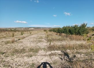 Продам участок, 225 сот., село Предущельное