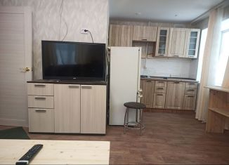 Сдаю в аренду квартиру студию, 31 м2, Рыбинск, Луговая улица, 4