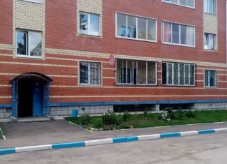 Продажа квартиры студии, 28 м2, поселок Новосёлки, Центральная улица