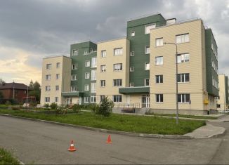 Продается однокомнатная квартира, 48 м2, деревня Болтино, улица Баздырева, 3, ЖК Болтино