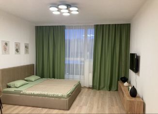 Сдам в аренду квартиру студию, 30 м2, Екатеринбург, улица Гагарина, 9