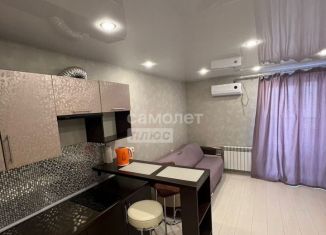 Аренда квартиры студии, 24 м2, Новосибирск, Кубовая улица, 96/1