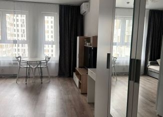 Аренда квартиры студии, 290 м2, Люберцы, улица Камова, 1к2