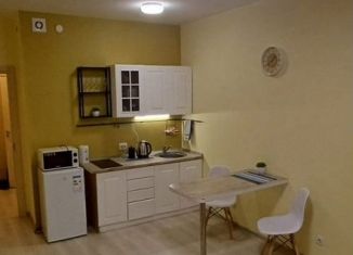 Продается квартира студия, 27 м2, Санкт-Петербург, Верхне-Каменская улица, 5