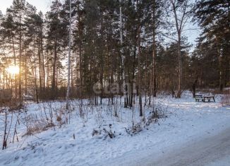 Продажа земельного участка, 14.2 сот., Бердск