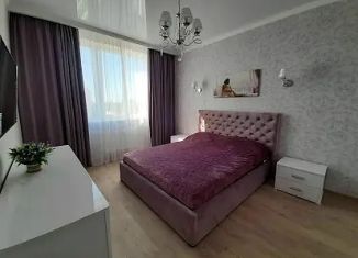 Сдается однокомнатная квартира, 40 м2, Барнаул, Партизанская улица, 203, Центральный район