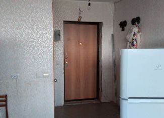 Продажа квартиры студии, 27 м2, деревня Хохряки, Тепличная улица, 30