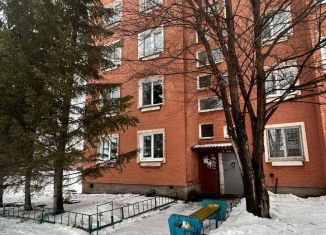 Продажа 3-ком. квартиры, 71.6 м2, село Лузино, Зелёная улица, 8