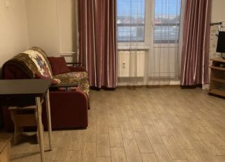 Квартира в аренду студия, 24.5 м2, Мурино, проспект Авиаторов Балтики, 5, ЖК Виктория