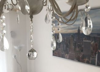 Квартира в аренду студия, 25 м2, Мурино, улица Шувалова, 27/7, ЖК Гринландия-2