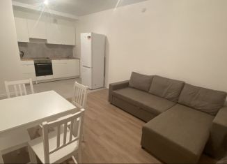 1-ком. квартира в аренду, 38 м2, Котельники, микрорайон Парковый, 1к2, ЖК Белая Дача Парк