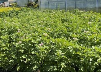 Продажа дачи, 60 м2, СНТ Текстильщик