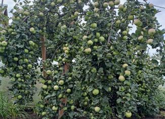 Дача на продажу, 102 м2, СНТ Овощевод, 8-я улица