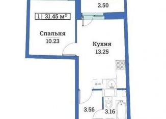 1-комнатная квартира на продажу, 31.5 м2, Мурино, ЖК Авиатор, проспект Авиаторов Балтики, 25