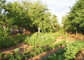 Продажа дачи, 35 м2, СНТ Рыбак, СНТ Рыбак, 32