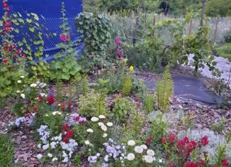 Продается дача, 50 м2, СНТ Строитель