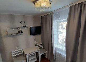 Квартира в аренду студия, 15 м2, Новгородская область, Новолучанская улица, 26