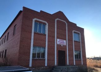 Продаю помещение свободного назначения, 432.9 м2, село Красный Яр, улица Зои Ананьевой, 28